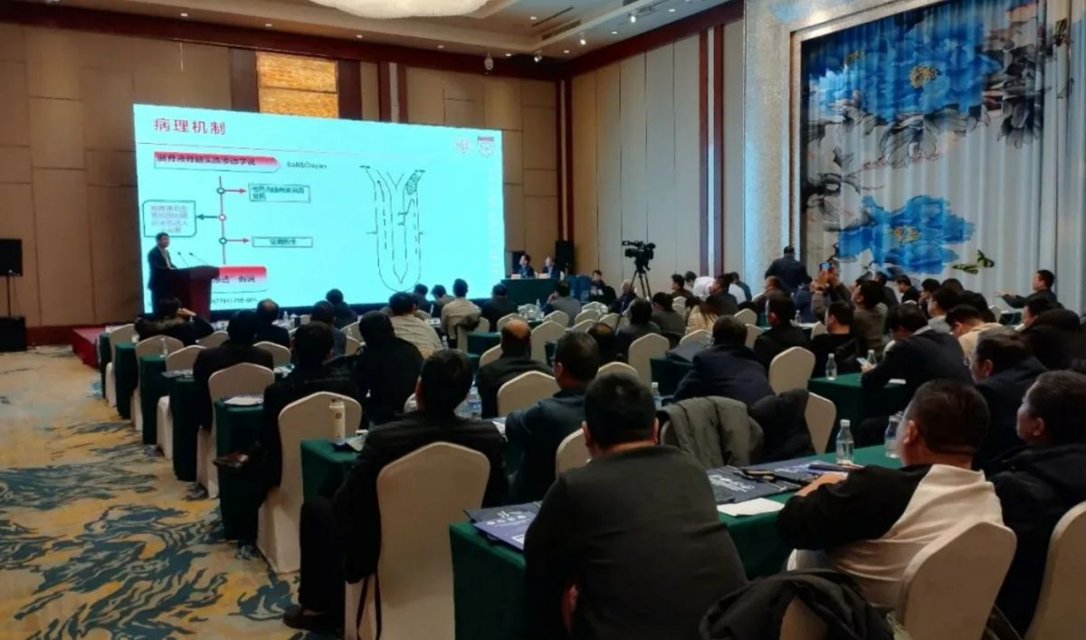 ΢�Ž�ͼ_20241219135700